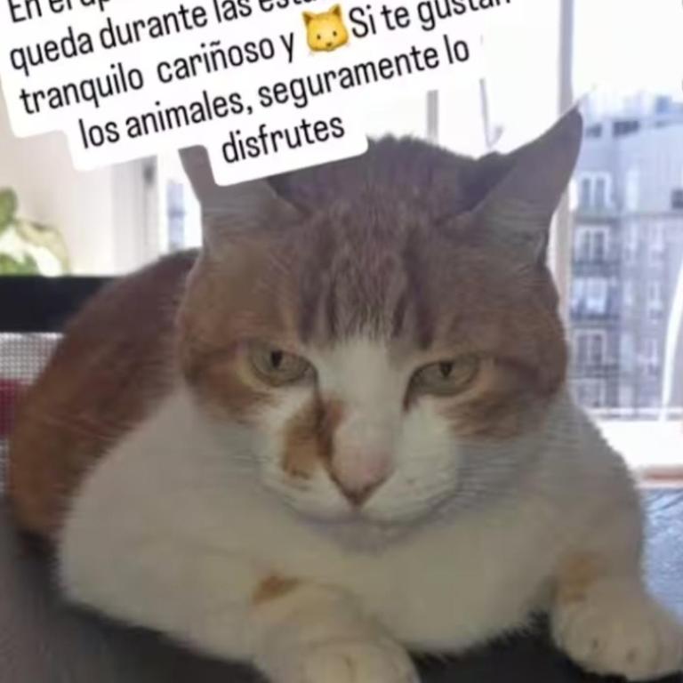 Buenos Aires Almagro 3 ambientes - Apartamento de 1 dormitorio - 16