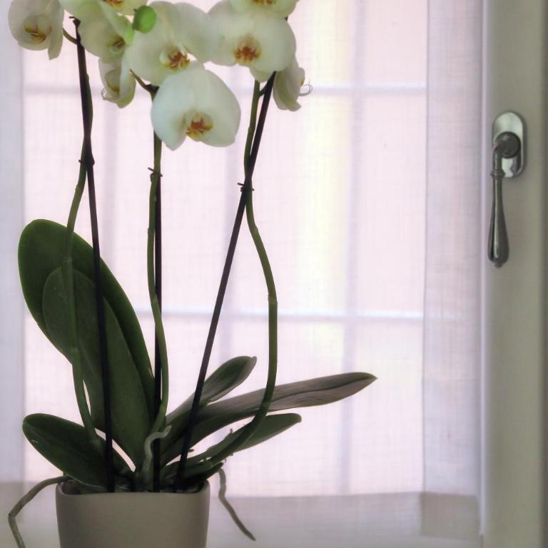 Boutique Apartments Verona - Superior Apartment - 40