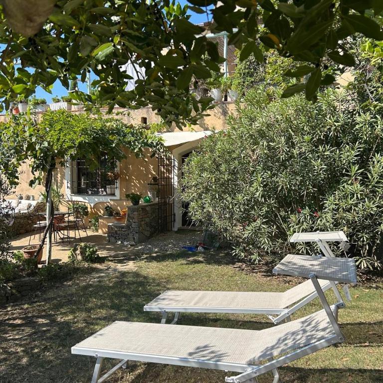 Tenuta Buraggi - Appartamento con 1 Camera da Letto e con Giardino - 19