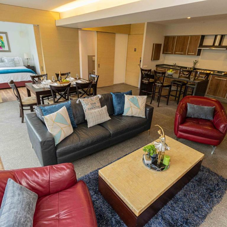 Masaryk 123 Executive Luxury Apartments in Polanco - Apartamento de 2 dormitorios con vistas a la ciudad - 10