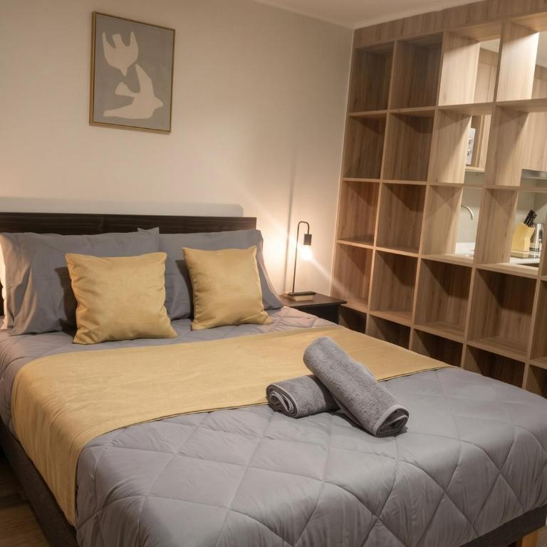 Estudio Cerca del Metro Irarrázaval y del Barrio Italia - Estudio Estándar - 8