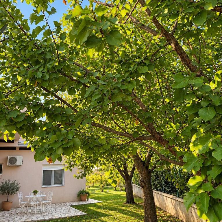 Vila Mareza - Villa 3 Chambres - 18