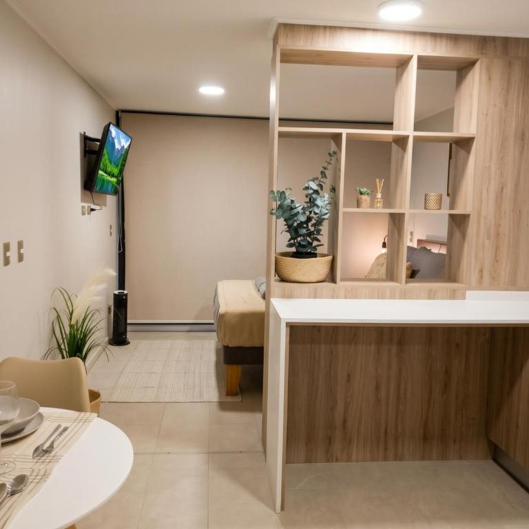 Barrio Italia and Irarrazaval Station I Studio - Estudio Estándar - 2