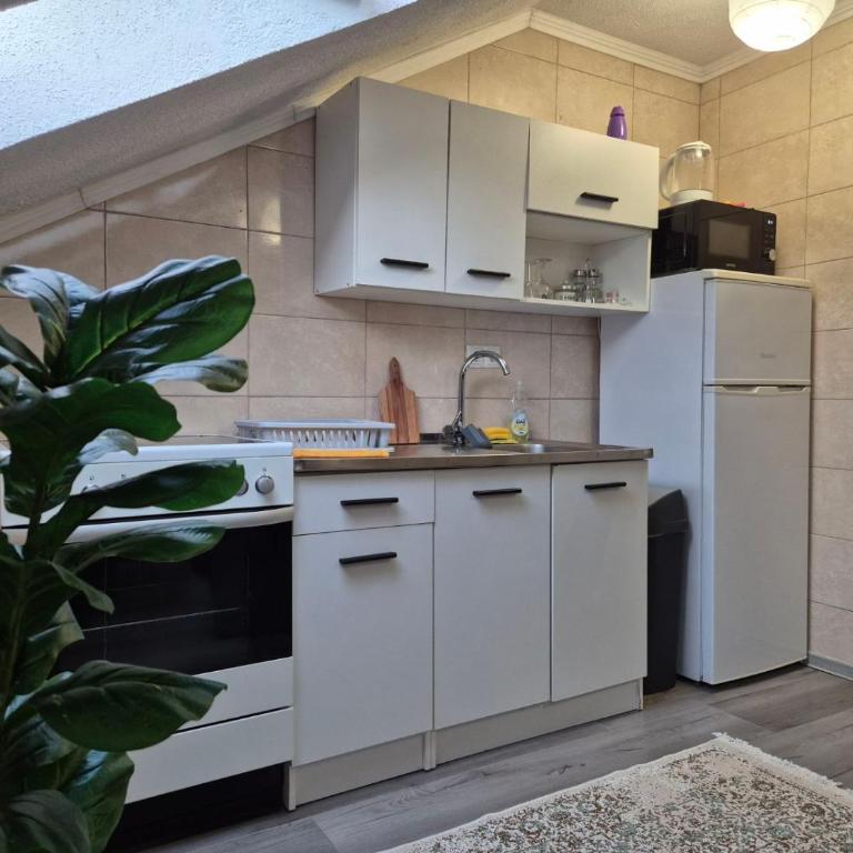 NG Apartments - free parking - Apartman sa 2 Spavaće Sobe - 5