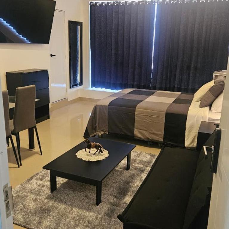 De Paso Suite - One-Bedroom Apartment - 1