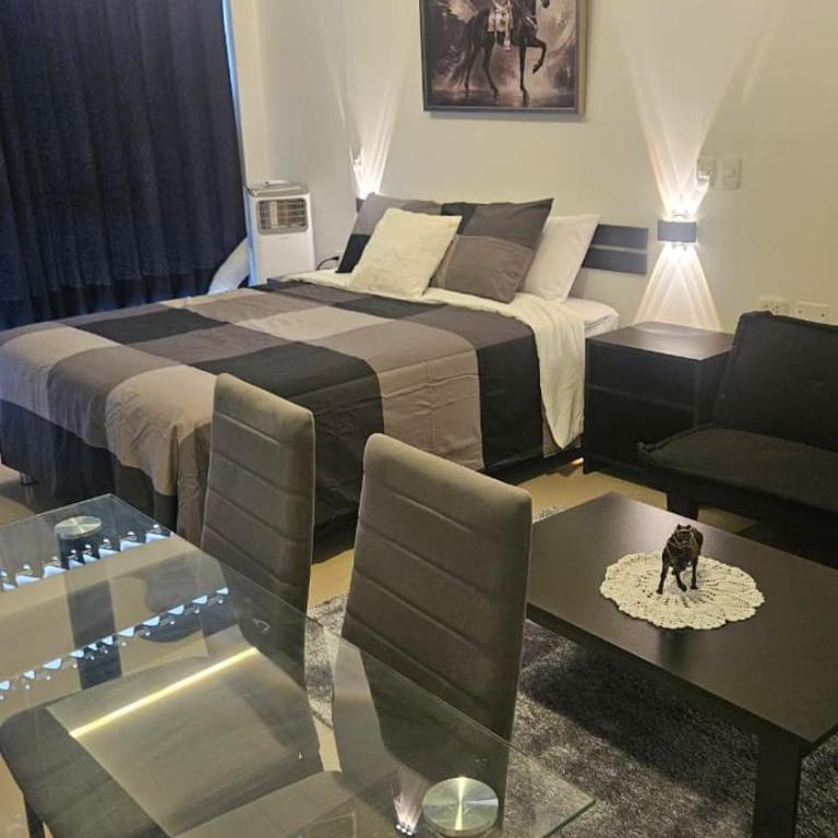 De Paso Suite - One-Bedroom Apartment - 2