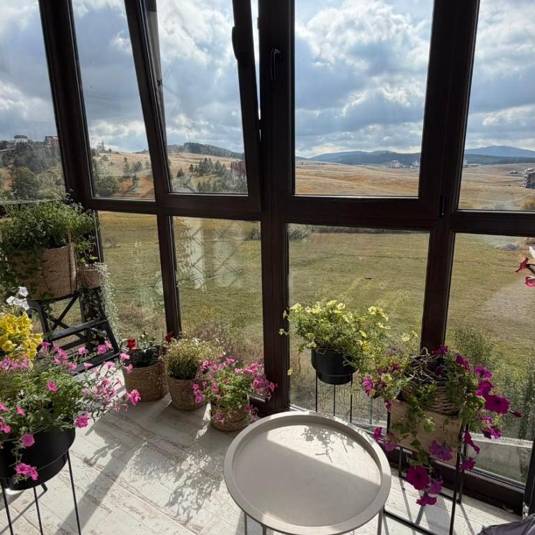 Zlatiborski apartman sa pogledom - Apartman sa 2 Spavaće Sobe - 13