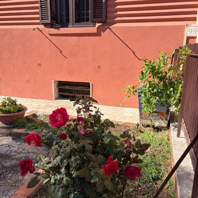 La Meraviglia di Roma - Camera Matrimoniale Deluxe - 10