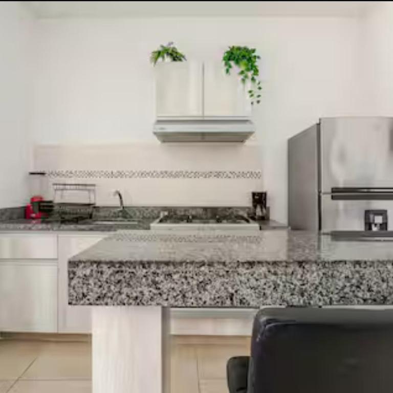 departamento con laguna artificial - Two-Bedroom Apartment - 61