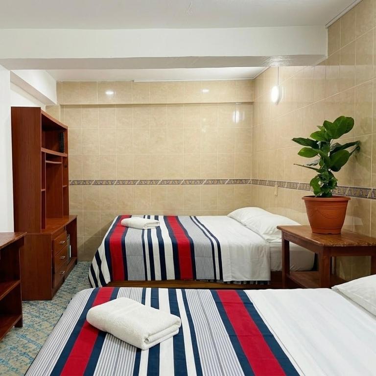 Center Rooms AY - Twin Room with Private Bathroom - 1