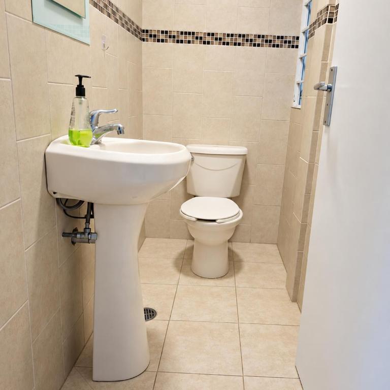 Mexicaníssima 4BR, 4 to 11 guests in Coyoacán - Apartment mit 4 Zimmern - 53