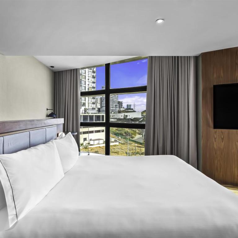 Hilton Queretaro - Junior King Suite with Seating Area - 8