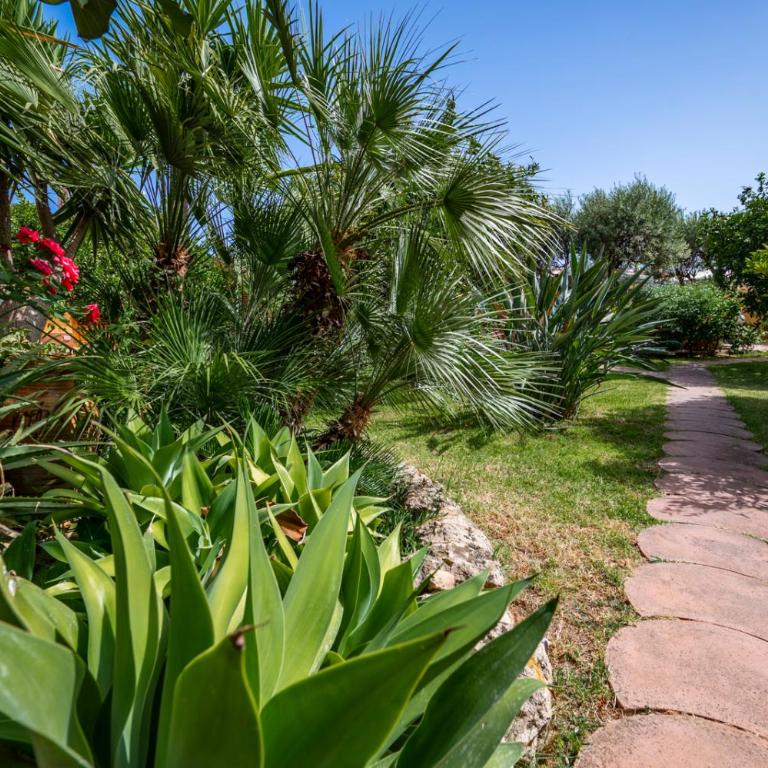 Villa del Papiro - Appartamento con 1 Camera da Letto - 5