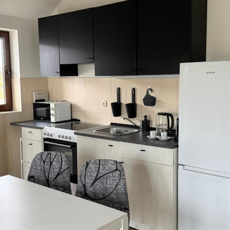 Zlatiborski apartman sa pogledom - Apartman sa 2 Spavaće Sobe - 4