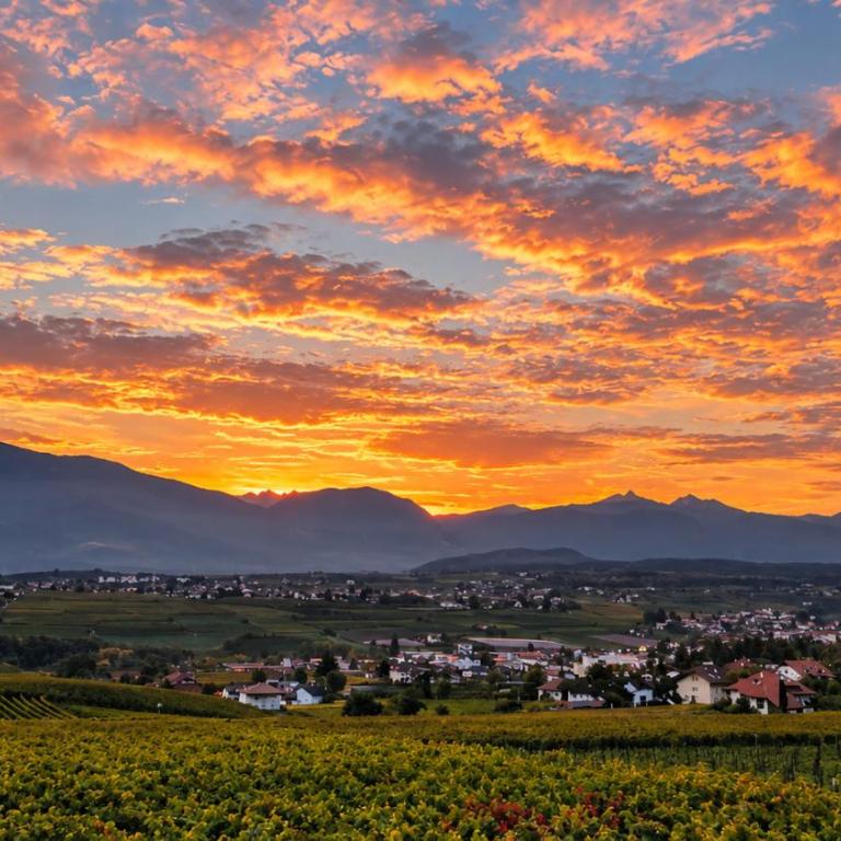 Oberberghof - Appartamento con Terrazza - 9
