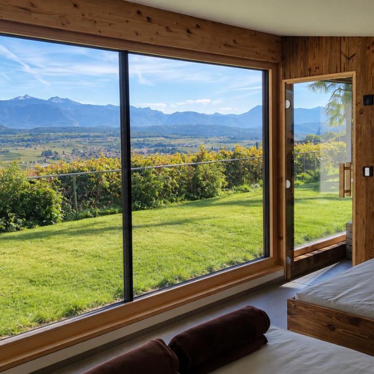 Oberberghof - Appartamento con Terrazza - 10