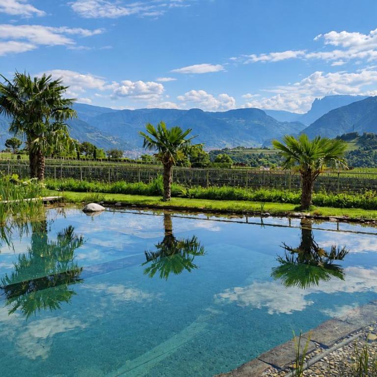 Oberberghof - Appartamento con Terrazza - 11