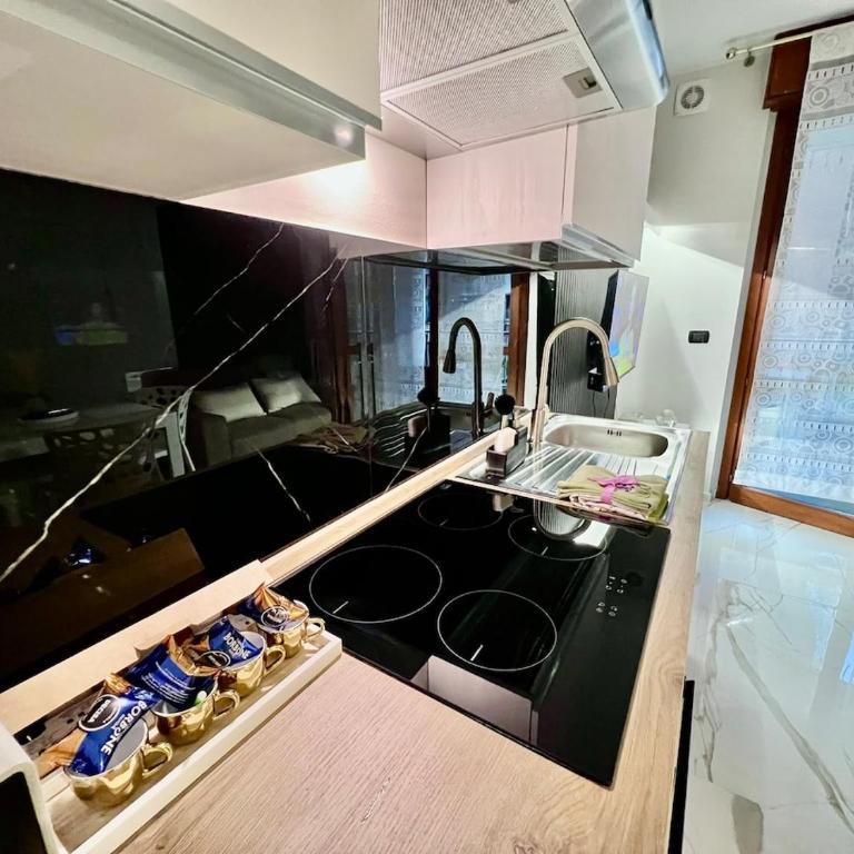 Luxury Flat Le Terrazze, Parco Dora - One-Bedroom Apartment - 2