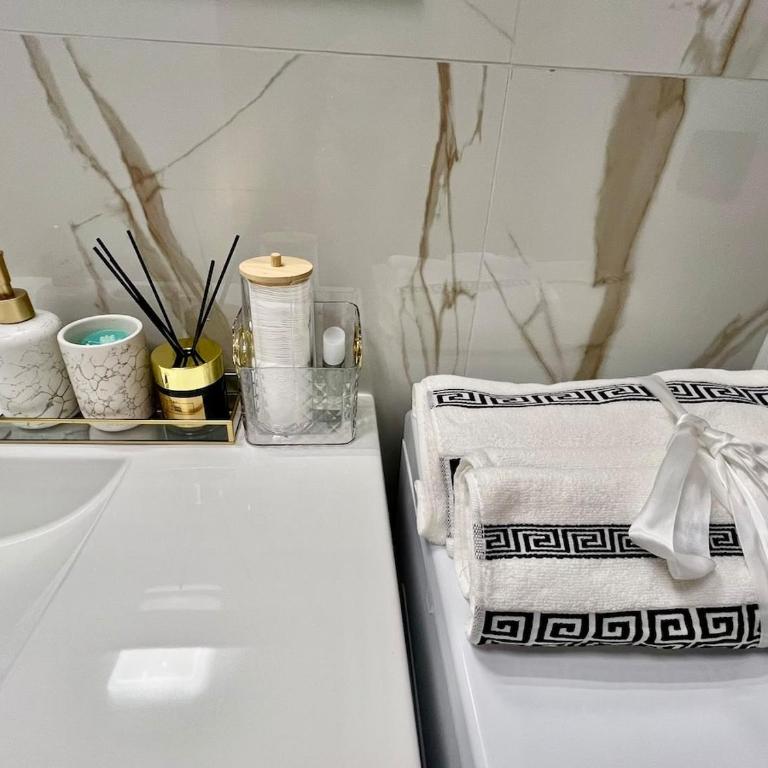 Luxury Flat Le Terrazze, Parco Dora - One-Bedroom Apartment - 20