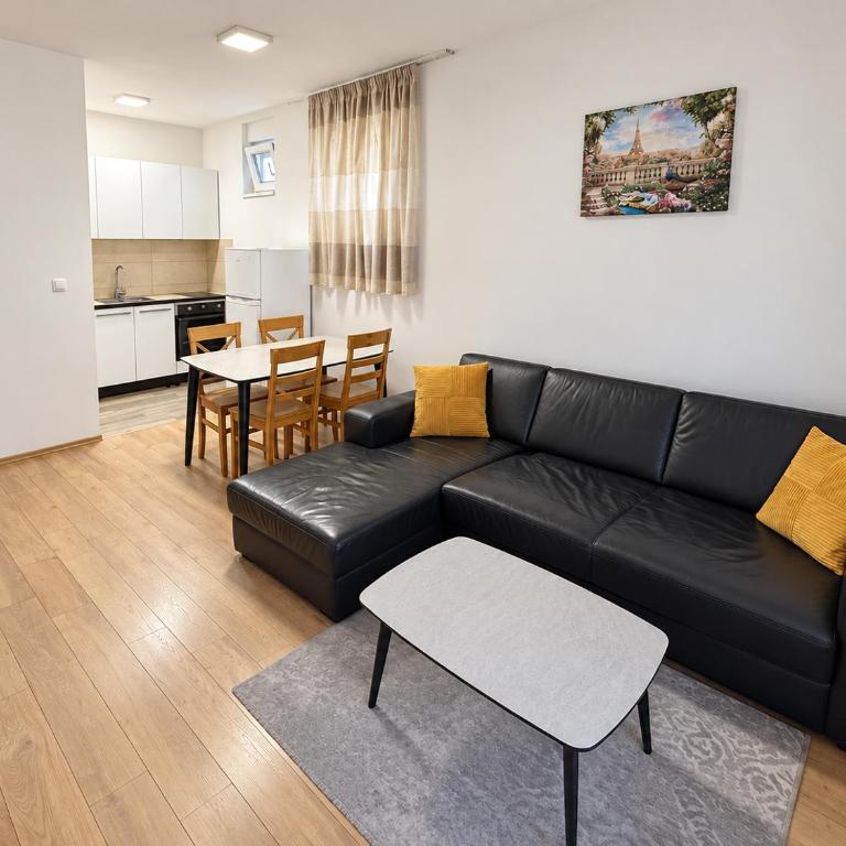 City Nest Podgorica with Free Parking - Apartman sa 1 Spavaćom Sobom - 11