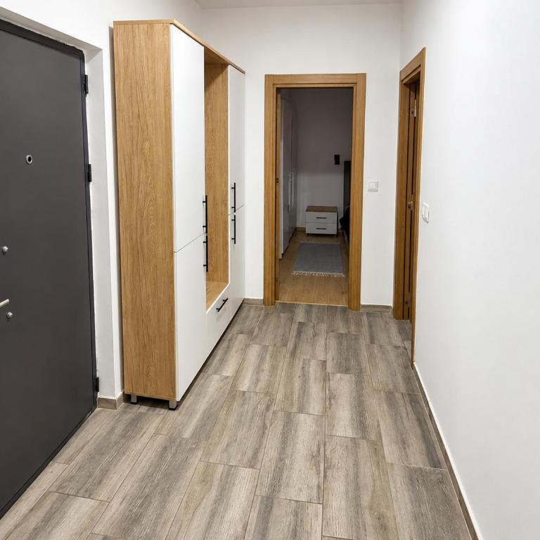 City Nest Podgorica with Free Parking - Apartman sa 1 Spavaćom Sobom - 12