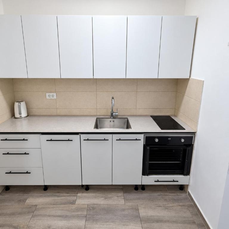 City Nest Podgorica with Free Parking - Apartman sa 1 Spavaćom Sobom - 15
