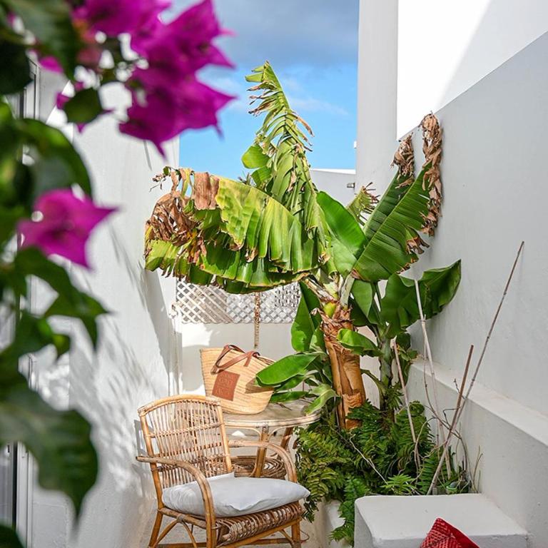 Casa Bocaina - Haus mit 4 Schlafzimmern - 9