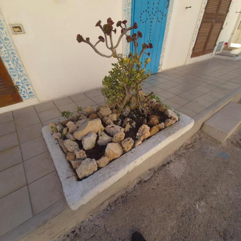 Doria Apartments - Vela - Appartamento con 1 Camera da Letto - 4