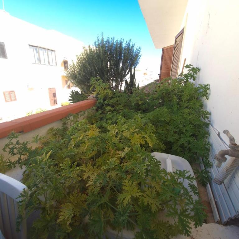 Doria Apartments - Vela - Appartamento con 1 Camera da Letto - 14