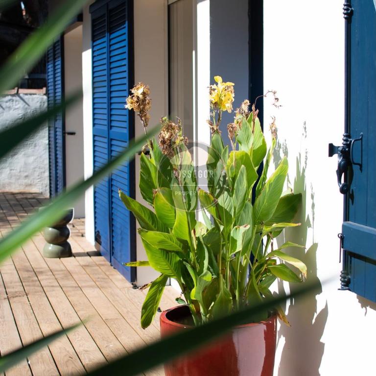 Villa Goxoki - Capbreton - Centre ville - Jardin - Maison 3 Chambres - 6