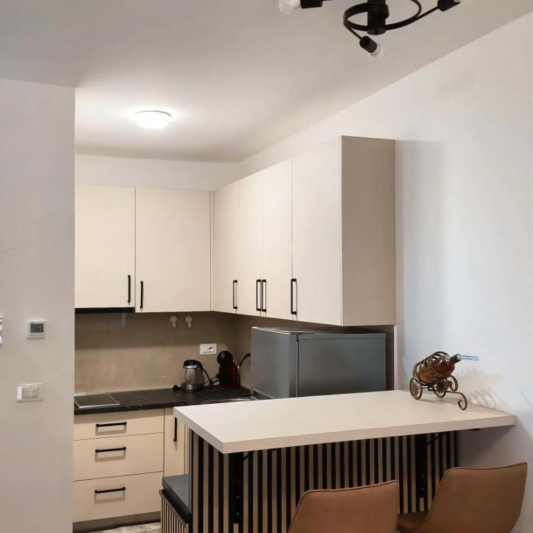Kolašin Stay - Apartment mit 1 Schlafzimmer - 4
