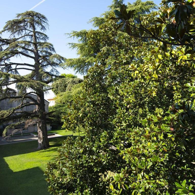 Appartamento Dama 3 - Apartamento con terraza - 37