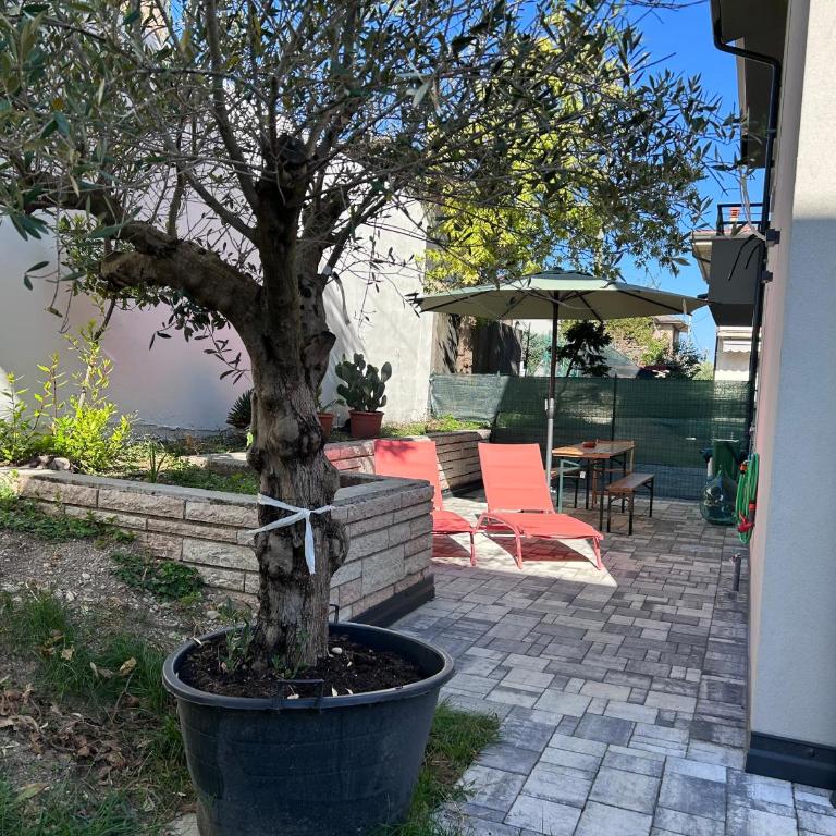 Susy's House - One-Bedroom Apartment - 21