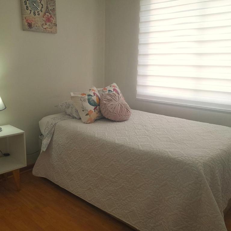 Departamento 3 dormitorios Santiago, estacionamiento gratis - Apartamento - 15