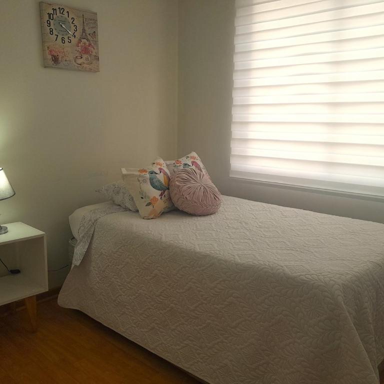Departamento 3 dormitorios Santiago, estacionamiento gratis - Apartamento - 27