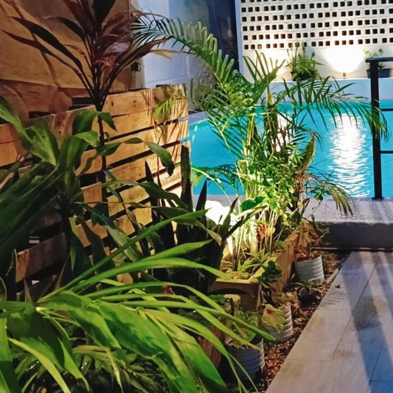 Suite Angelina King Bed & Pool Near Cenote Zaci - King Suite with Pool View - 12