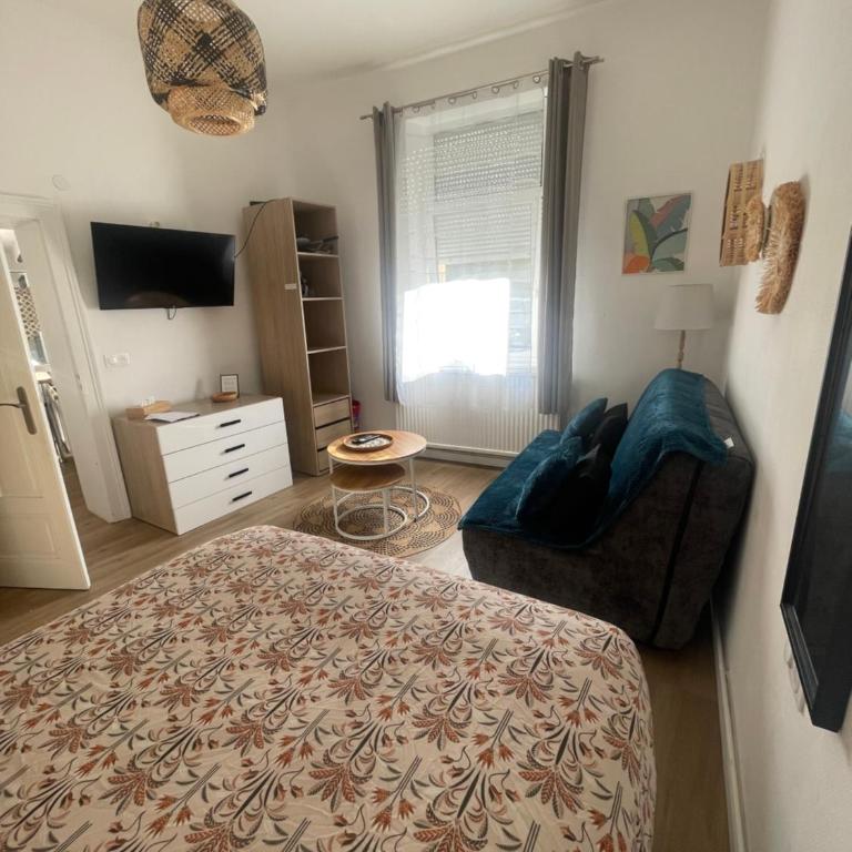 Le Jardin de Phanie, le calme de la campagne en ville - Apartment mit 1 Schlafzimmer - 11