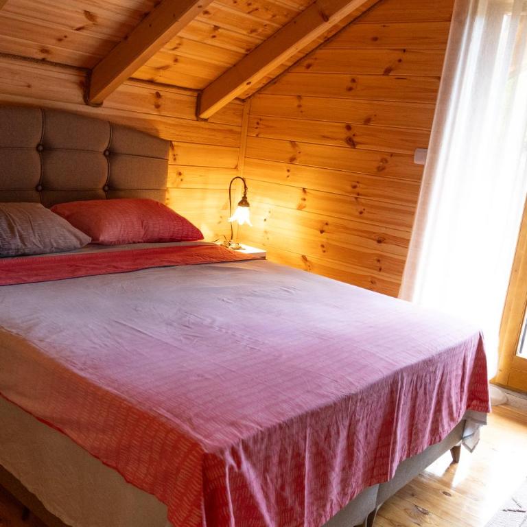 Seosko domacinstvo Mijović - Appartement 1 Chambre - 21