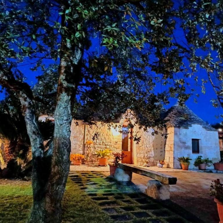 B&B La Rosa dei Trulli Alberobello - Trullo with private patio - 15