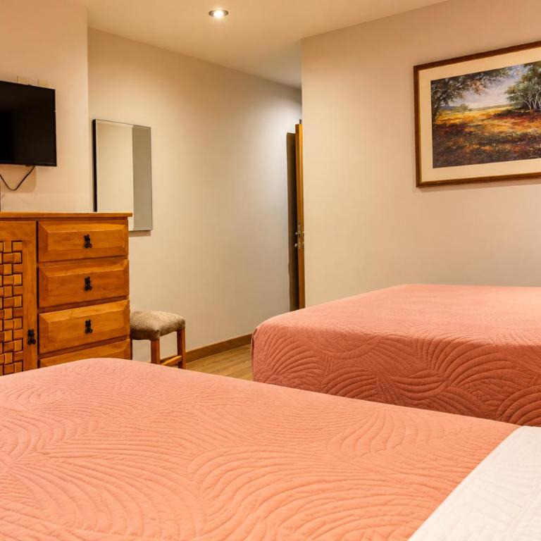 Hotel Colonial Monterrey - Superior Zweibettzimmer mit Stadtblick. - 8