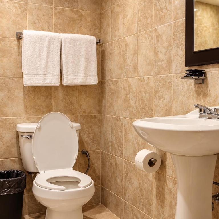 Hotel Colonial Monterrey - Zweibettzimmer - 25