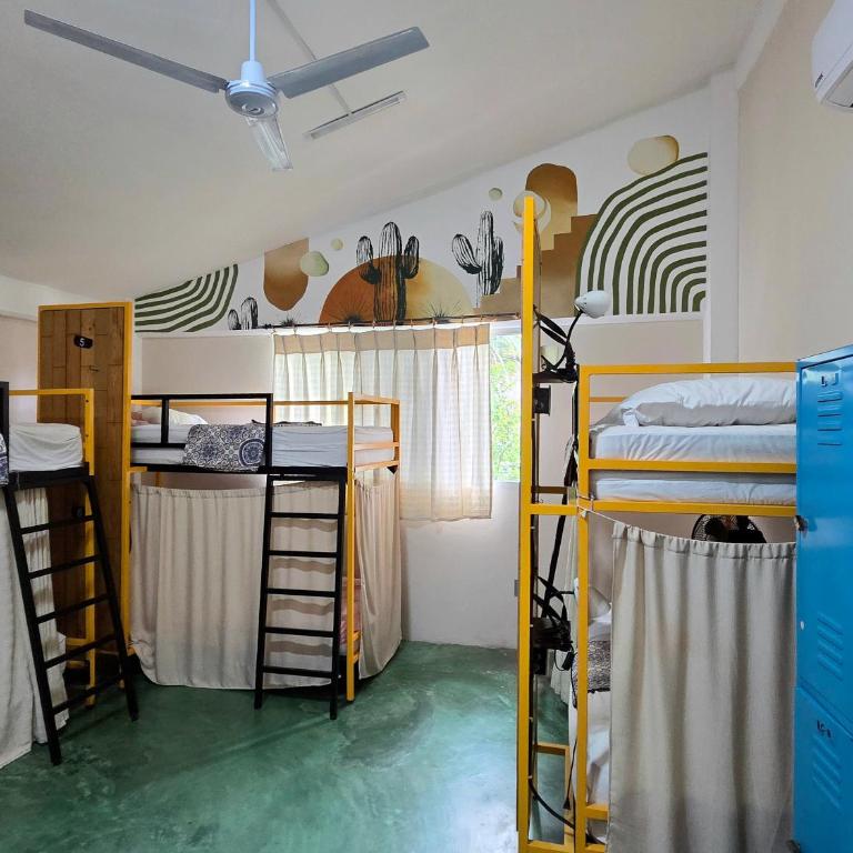 Nopalero Hostel - Bett im gemischten Schlafsaal mit 8 Betten - 4