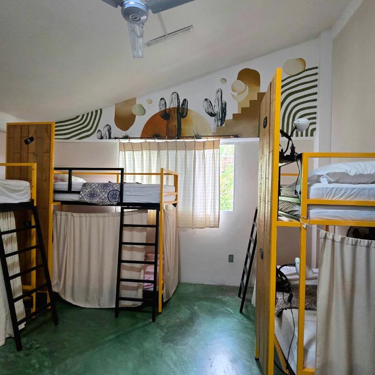 Nopalero Hostel - Bett im gemischten Schlafsaal mit 8 Betten - 3