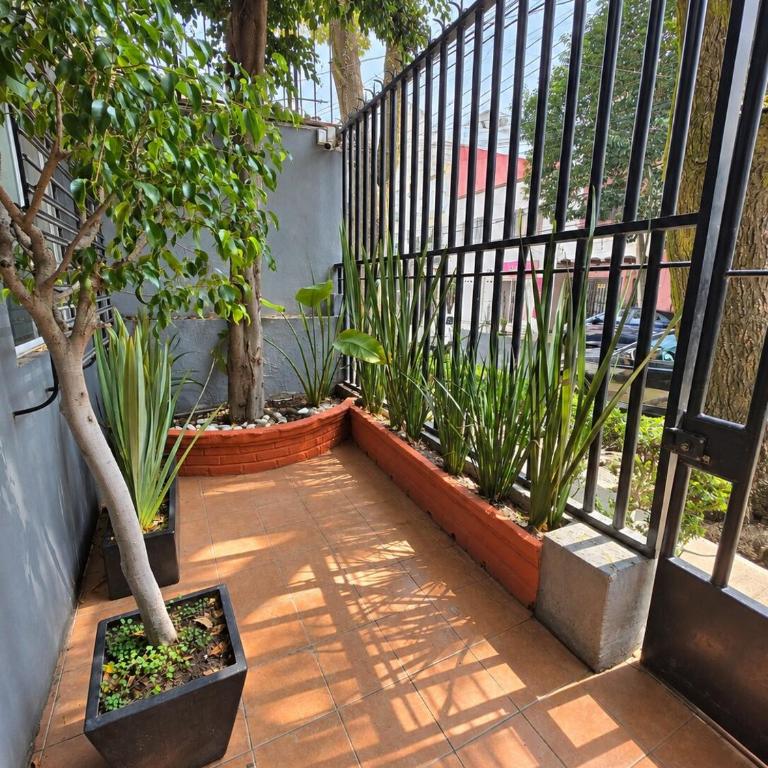Lovely Home in the Heart of La Condesa! - Casa de 4 dormitorios - 42