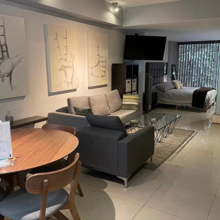 Amazing loft in Polanco - Apartamento de 1 dormitorio - 1