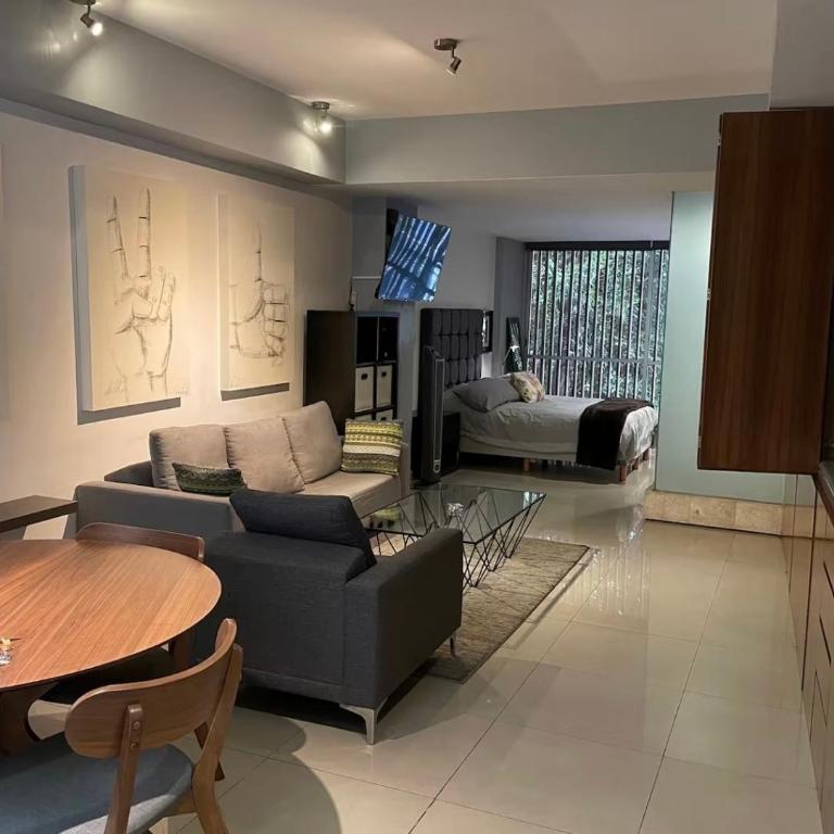 Amazing loft in Polanco - Apartamento de 1 dormitorio - 3