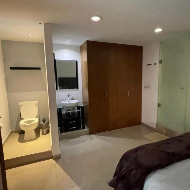 Amazing loft in Polanco - Apartamento de 1 dormitorio - 5