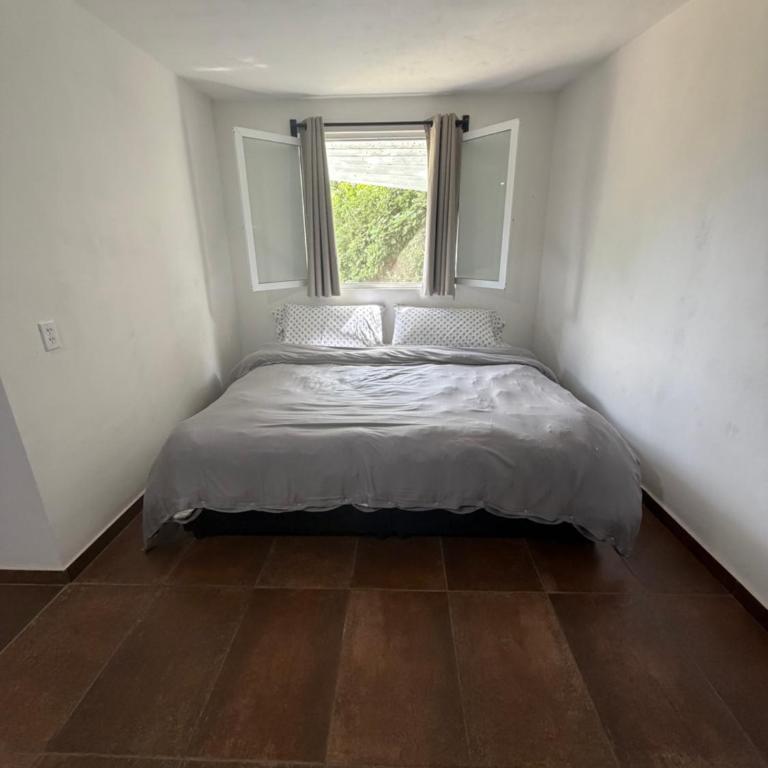 Casa Majagua - One-Bedroom Apartment - 1