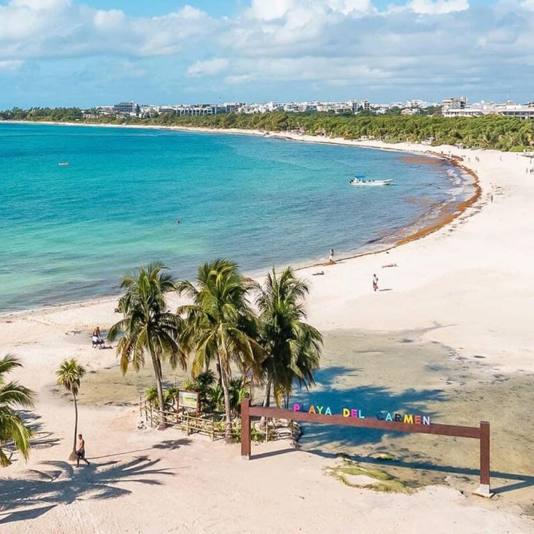 Charming authentic Mexico-Walk to beach & 5th Ave! - Apartamento - 16