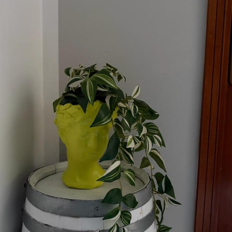 Esther's Home Casa - Appartamento con 2 Camere da Letto - 14